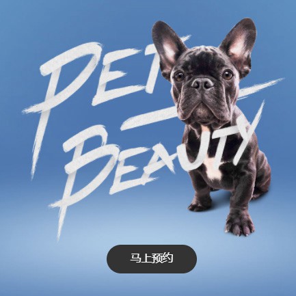 敦化宠物中心小程序开发