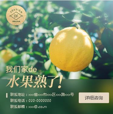 敦化果园果林小程序开发